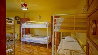Хостелы Kismet Dao Hostel Брашов Односпальная кровать в общем номере с 6 кроватями-6